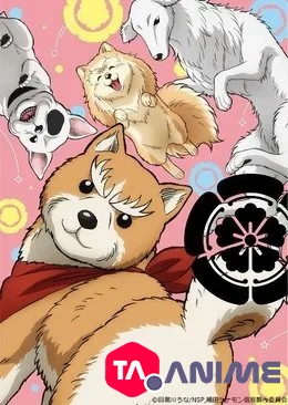 Oda Cinnamon Nobunaga VOSTFR streaming