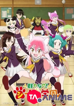 Murenase! Seton Gakuen VOSTFR streaming