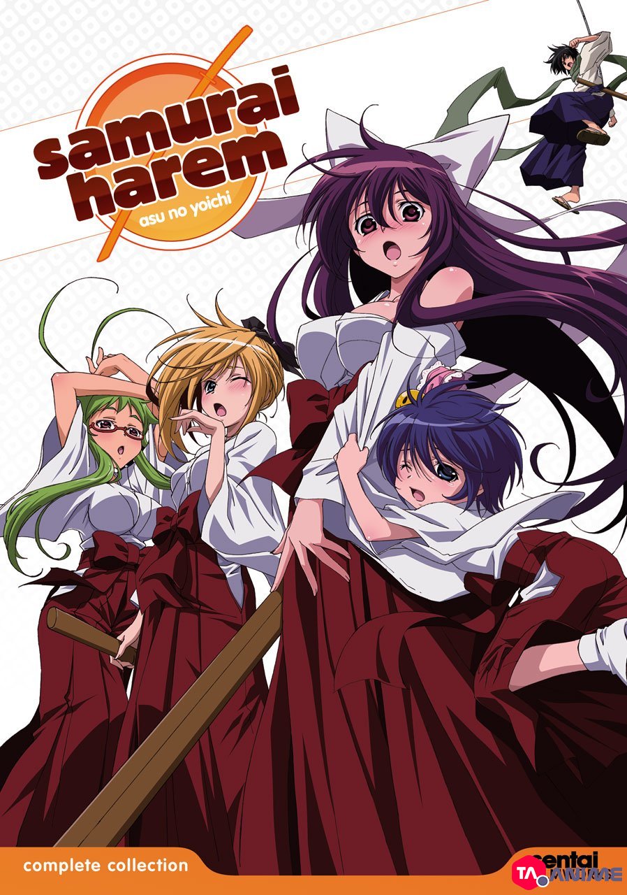 Samurai Harem VOSTFR streaming