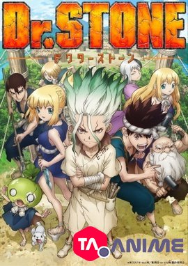 Dr. STONE VF streaming