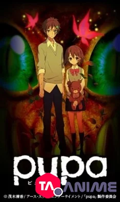 Pupa VOSTFR streaming