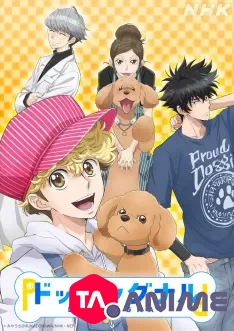 Dog Signal VOSTFR streaming