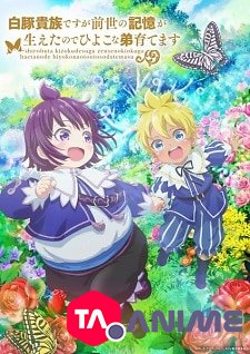 Shirohiyo VOSTFR