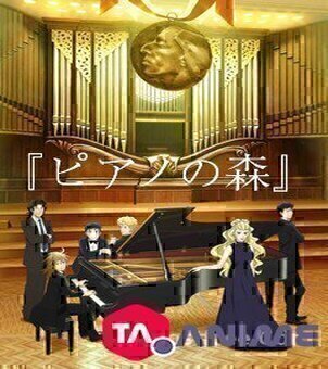 Piano no Mori saison 1 VF streaming