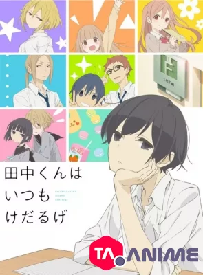 Tanaka-kun wa Itsumo Kedaruge VOSTFR streaming
