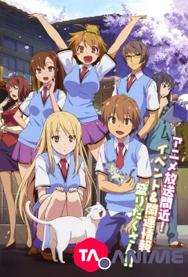 Sakurasou no Pet na Kanojo VOSTFR streaming