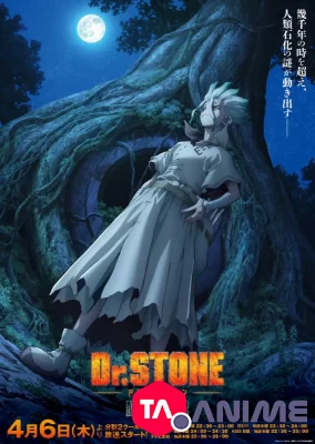 Dr Stone Saison 3 VOSTFR streaming
