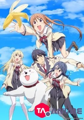 Aho Girl VOSTFR streaming