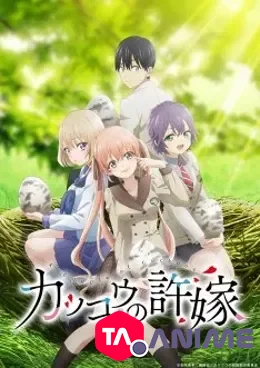 Kakkou no Iinazuke VF streaming